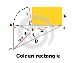 Golden rectangle, vector illustration