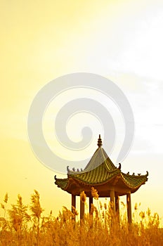 Golden Reed pavilion