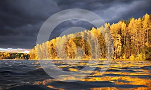 Golden reflections of coastal autumn forest with dramatic sky at golden hour. North Europe, Baltic sea, gulf of Finland