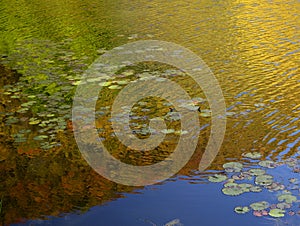 Golden reflections of fall on Labrador Hollow Pond