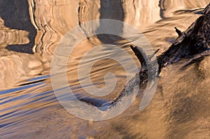 Golden Reflections Merced River Yosemite National Park