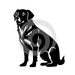 Golden retriever black icon on white background. Golden retriever silhouette