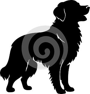 Golden Retriever Black Silhouette Generative Ai