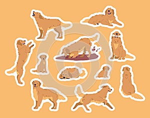 Golden Retriever In Different Poses Stickers Set. Friendly Pet Dog Digging Soil, Sitting, Lying And Gnaws Bone, Sleeping
