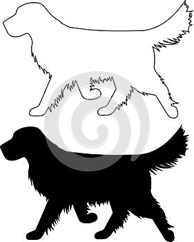 Golden retriever, dog, animal, pet, vector illustration file