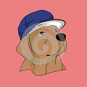 Golden retriever dog with cool cap