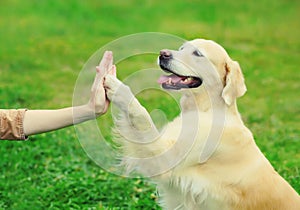 Golden Retriever dog giving paw to hand high five owner woman on the grass training in park