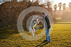 Golden retriever dog jumping with a blond young boy in a green park