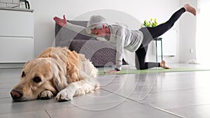 Golden Retriever Dog Lying On A Floor While Active Senior Woman Doing Yoga At Home