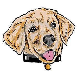 Golden Retriever Dog Puppy Happy Face Drawing Line Art Vector