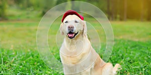 Golden Retriever dog in red baseball cap sitting on green grass in summer park