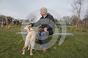 Golden retriever dog with senior owner sitting on a park bench, both looking at something in the distance