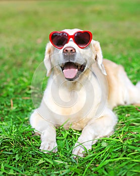 Golden Retriever dog in sunglasses lying on grass
