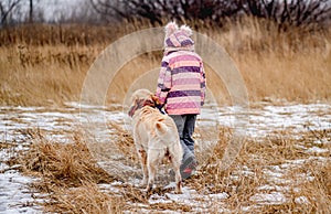 Golden retriever dog walking beside girl