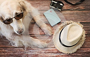 Golden retriever dog wearing sun glasses laying down on wooden floor with travel accessories , hat, camera, passport cover