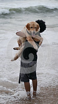 golden retriever dog who is scared of the beach waves being picked up by his person