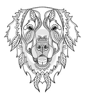 Golden retriever dog zentangle, doodle stylized head, hand drawn photo