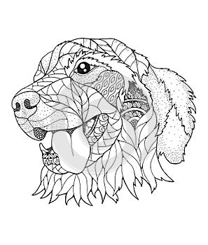 Golden retriever dog in zentangle and stipple style. Vector photo