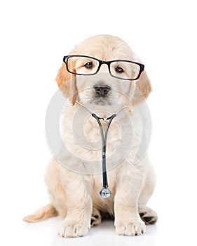 Golden retriever with a glasses and stethoscope on his neck.looking at camera. isolated on white background