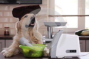 Golden retriever grind meat with a grinder. A cooking time.