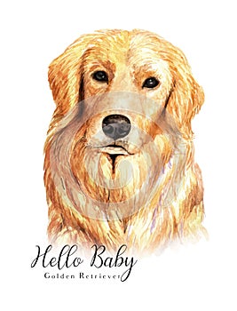 Golden Retriever. Portrait of a dog. Set with dogs. Watercolor hand drawn illustration.