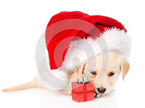 Golden retriever puppy dog with gift and santa hat. isolated