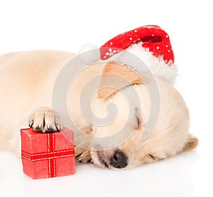 Golden retriever puppy dog with gift and santa hat. isolated