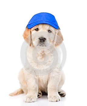 Golden retriever puppy in hat laborer looking at camera. isolated on white background