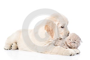 Golden retriever puppy licking the kitten. isolated on white background