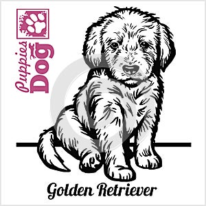 Golden Retriever puppy sitting. Drawing by hand, sketch. Engraving style, black and white vector image.