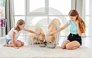 Golden retrievers drinking water next to girls