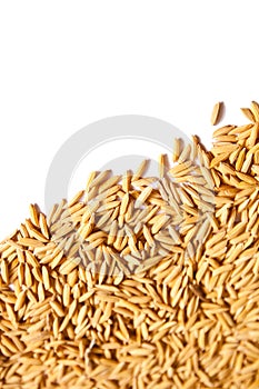 Golden rice