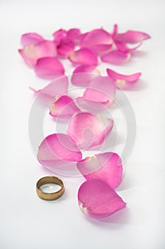 Golden ring and pink rose petals as path