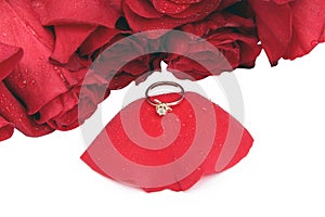 Golden ring on a rose-petal