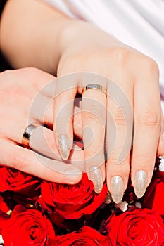 Golden rings on the hands of newlyweds against the background of red roses