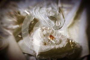 Golden Rings - Wedding details