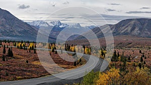 Golden road in Denali National Park