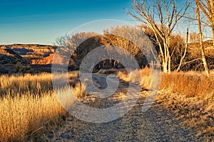 Golden Road in to Horsethief Canyon photo