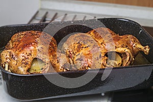 Golden roast duck on a plate in the oven