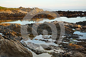 Golden rockpools at Seaview, Port Elizabeth, South Africa.