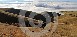 Golden Rolling Farm Fields with Thick Clouds