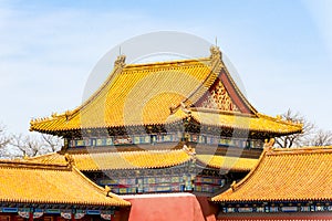Golden roofs Forbidden City, Beijing