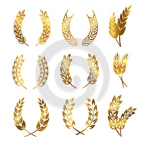 Golden rye wheat ears wreaths vector elements for bread and beer labels and logos