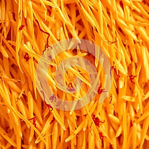 Golden Saffron Threads Close Up View