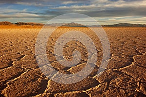 Golden salt - Salinas grandes / large salines - salta & jujuy , argentina