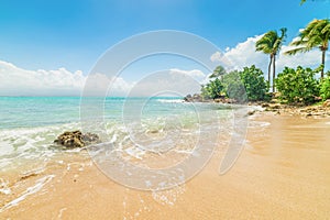 Golden sand in Bas du Fort shore in Guadeloupe