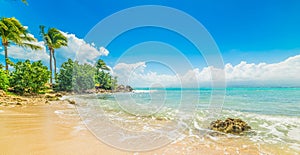 Golden sand in Bas du Fort shore in Guadeloupe