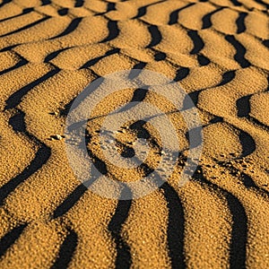 Small pebbles are scattered across the surface adding texture