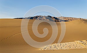 Golden Sand Dunes