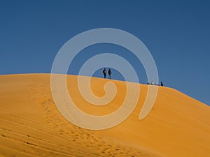 Golden sand dunes in the Algerian desert, the city of Bechar Taghit